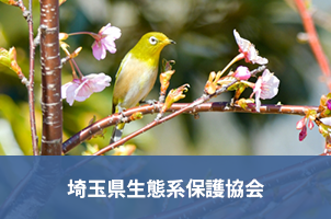 埼玉県生態系保護協会
